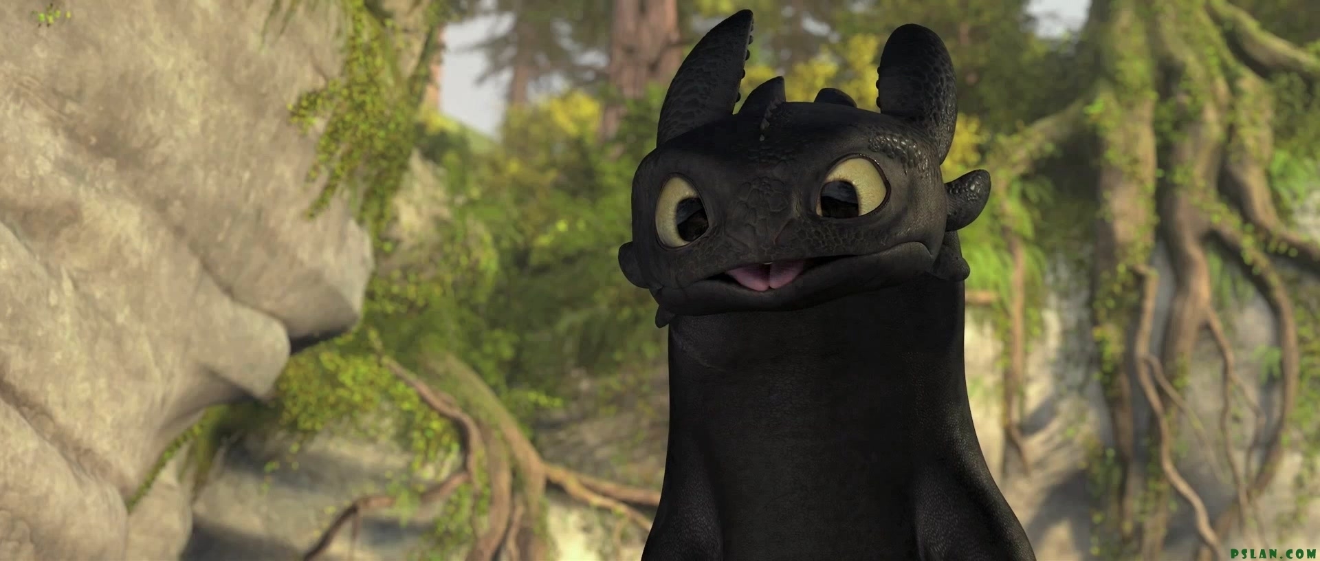 toothless-how-to-train-your-dragon-96263
